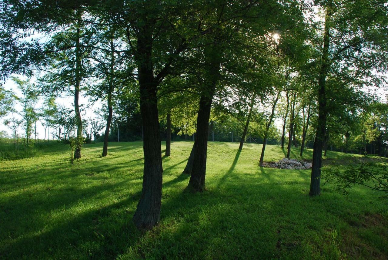 Bekesseg Szigete, Klasszik Apartman Sur Exterior foto